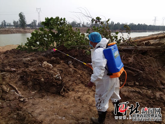 河北先后向災區(qū)調(diào)撥疫苗11000支 暫無洪澇疫情報告 河北先后向災區(qū)調(diào)撥疫苗11000支 暫無洪澇疫情報告