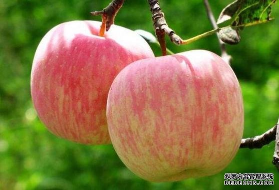 河北品牌叫響云南 “冀”特產(chǎn)這么多總有一款來自你的老家
