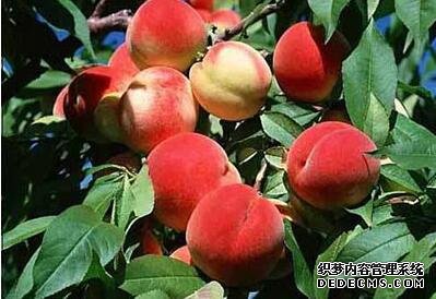 河北品牌叫響云南 “冀”特產(chǎn)這么多總有一款來自你的老家