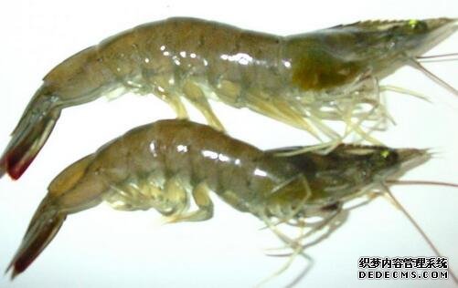 河北品牌叫響云南 “冀”特產(chǎn)這么多總有一款來自你的老家