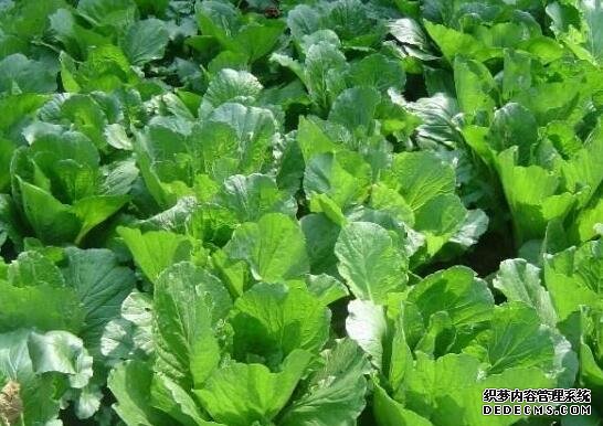 河北品牌叫響云南 “冀”特產(chǎn)這么多總有一款來自你的老家