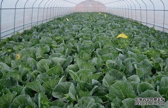 河北品牌叫響云南 “冀”特產(chǎn)這么多總有一款來自你的老家