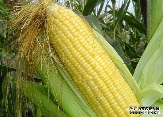 河北品牌叫響云南 “冀”特產(chǎn)這么多總有一款來自你的老家