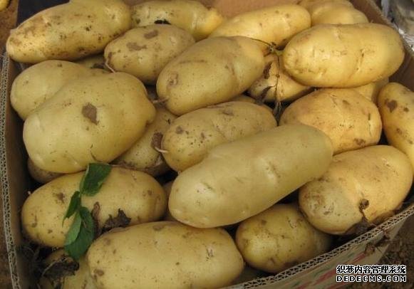 河北品牌叫響云南 “冀”特產(chǎn)這么多總有一款來自你的老家