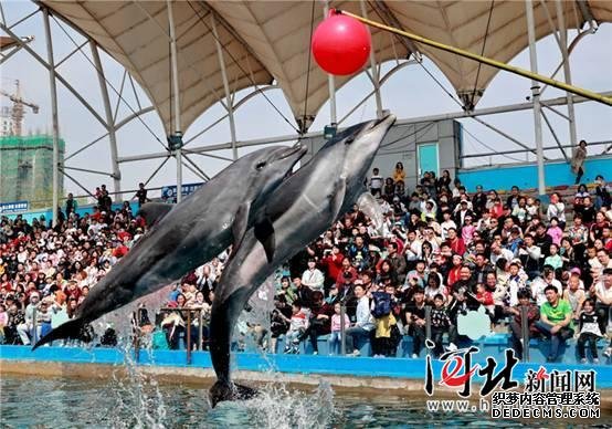 秦皇島“五一”假期接待游客逾211萬人次